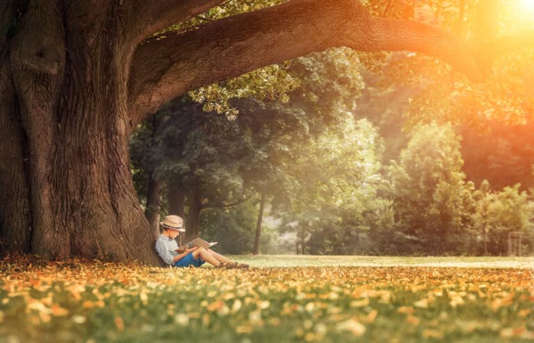 Quiet Day – Sensitive to nature; alert to yourself and the world around