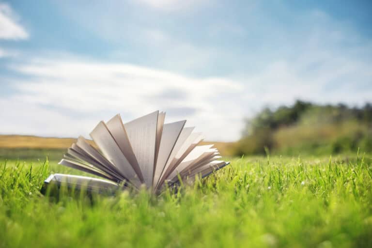 ‘Eco’ themes in the Bible 2026